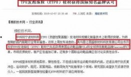 莆田今日爆料,聚焦热点事件，揭秘幕后真相